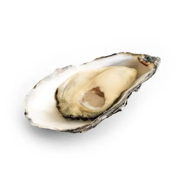 Ostrica Special n2 Kys