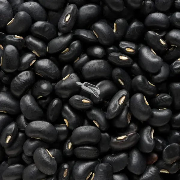 Fagioli Neri secchi 5 Kg