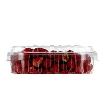 Fragoline di Bosco (Vaschetta da 100 Gr)