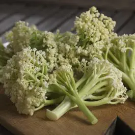 Broccolo Fioretto Bianco