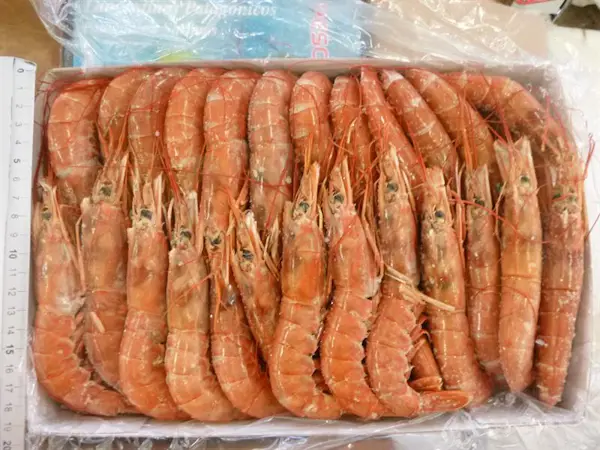 Gambero Argentino L2 PP Gelo 2 Kg