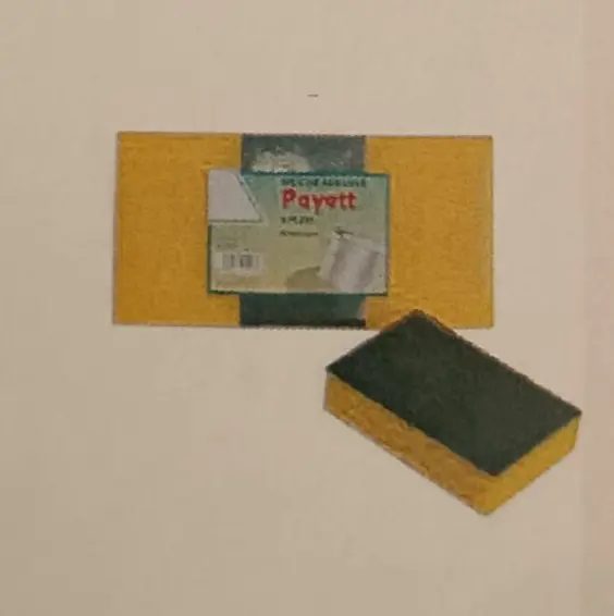 Spugne con abrasivo Payett (3 Pz)