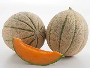 Melone Retato (2 Cat)