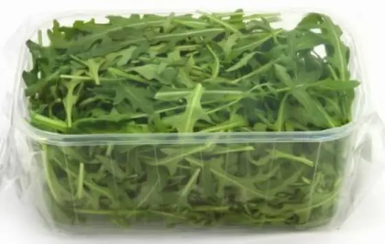 Insalatina Rucola (Vaschetta 100g)