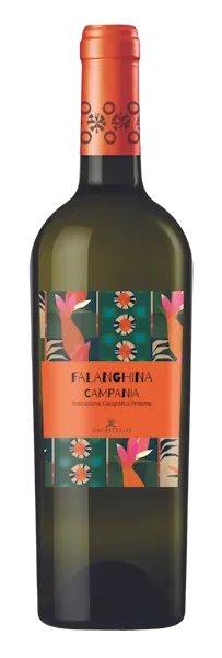 Falanghina Campana IGP 75 Cl