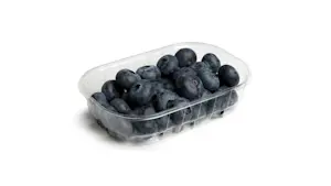 Mirtilli (Cat 1) 125g (1 Confezione)