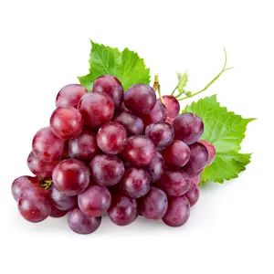 Uva Red Globe