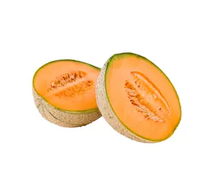 Melone Retato (1 Cat)