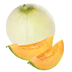 Melone liscio