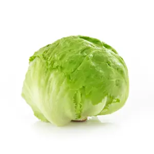 Insalata Iceberg