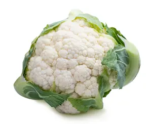 Cavolfiore Bianco