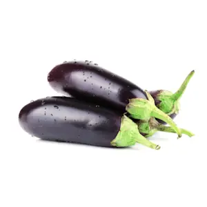 Melanzane Lunghe