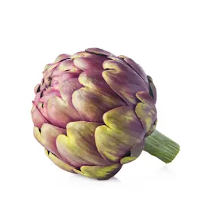 Carciofi Mamelo Romane