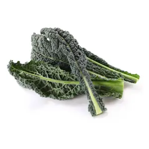 Cavolo Nero (Cat 1)