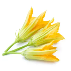 Fiori di Zucchina in vaschetta da 40 Gr