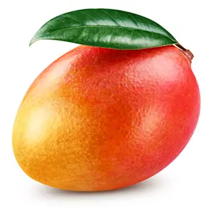 Mango (Cat 1)