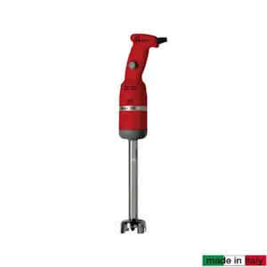 Mixer mini a velocità variabile