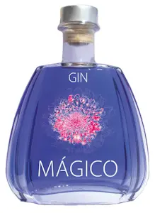 Gin Magico 40° 70 Cl (1 Bottiglia) - 1