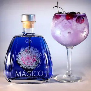 Gin Magico 40° 70 Cl (1 Bottiglia) - 2