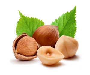Olio di Nocciola Convenzionale 25 Kg