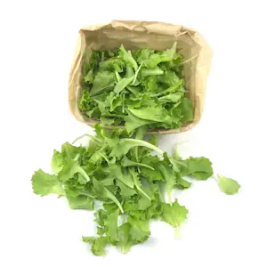 Lattughino (Cat 1) 100 Gr