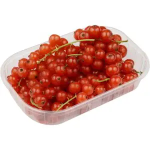 Ribes (Cat 1) 125 Gr (1 Confezione)