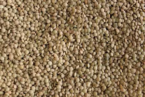 Lenticchie mignon 5 Kg