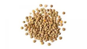 Lenticchie medie 25 Kg