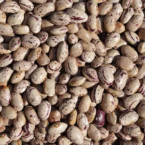 Fagioli borlotti 500 Gr