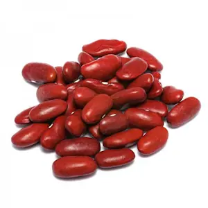 Fagioli rossi dark red kidney 500 Gr
