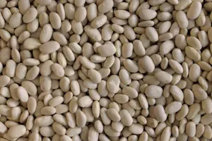 Fagioli G.North - Piattella 5 Kg
