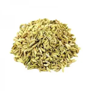 Finocchietto 1 Kg
