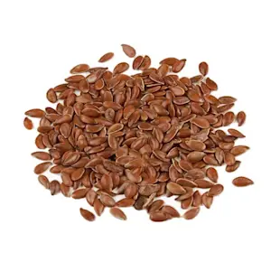 Semi di lino 1 Kg