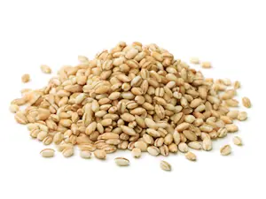 Orzo perlato 5 Kg