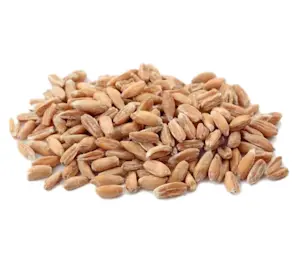 Farro perlato 25 Kg