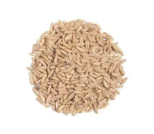 Avena decorticata 1 Kg