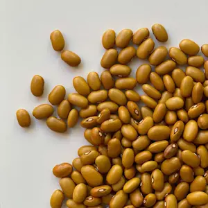 Fagioli Bruni 5 Kg