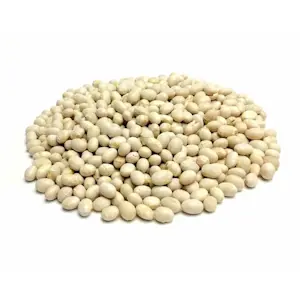 Fagioli Bianchi Cocos 5 Kg