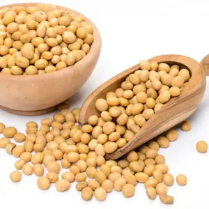 Soia Gialla 500 Gr