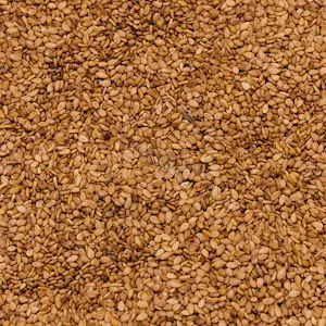 Sesamo Biondo 1 Kg