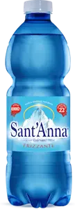 Acqua Sant'Anna frizzante 50 Cl (24 bottiglie)