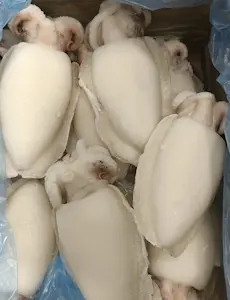 Seppia grossa pulita IQF 12 Kg