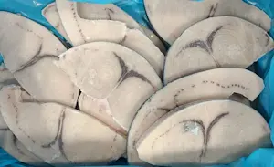 Tranci di spada 1/2 LUNA 9,5 Kg - 1