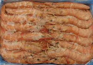 Gambero L1 12 Kg (6 scatole x 2 Kg)