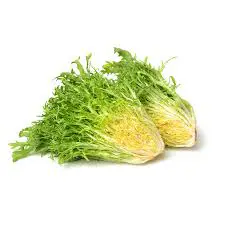 Indivia Riccia Bianca (Cat 1)
