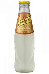 Schweppes Ginger Beer 18 Cl (24 Bottigliette Vap)