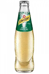 Schweppes Ginger Ale 18 Cl (24 Bottigliette Vap)