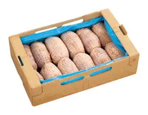 Rolle di petto di tacchino kg 12 (6 pz da 2 kg)