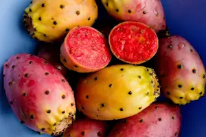 Fichi D'india