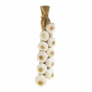 Aglio Bianco Trecce (Cat 1 )